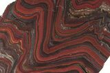 Polished Tiger Iron Stromatolite Slab - Billion Years #221839-1